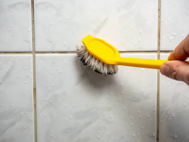 Best Local Mold Removal Service  in Greensboro, GA