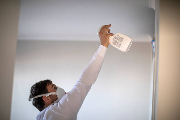 Office Mold Removal Services in Greensboro, GA