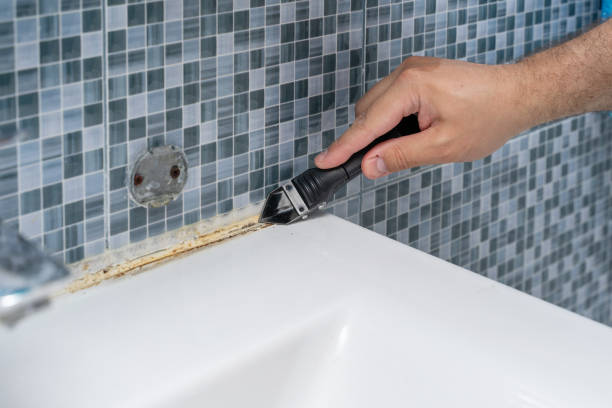 Best Emergency Mold Removal  in Greensboro, GA